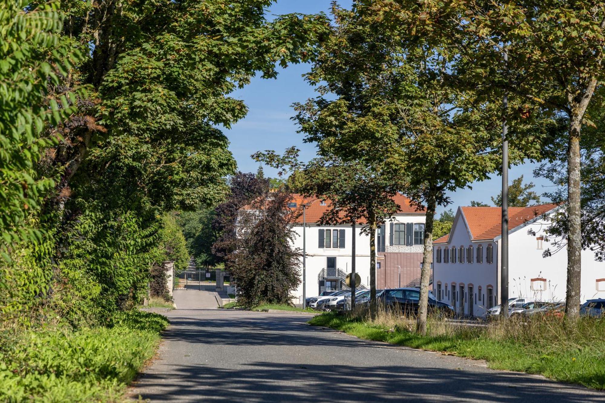 Hotel Au Chateau Villers-les-Nancy Экстерьер фото